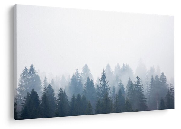 Kép - Ködös erdő (90x60 cm)