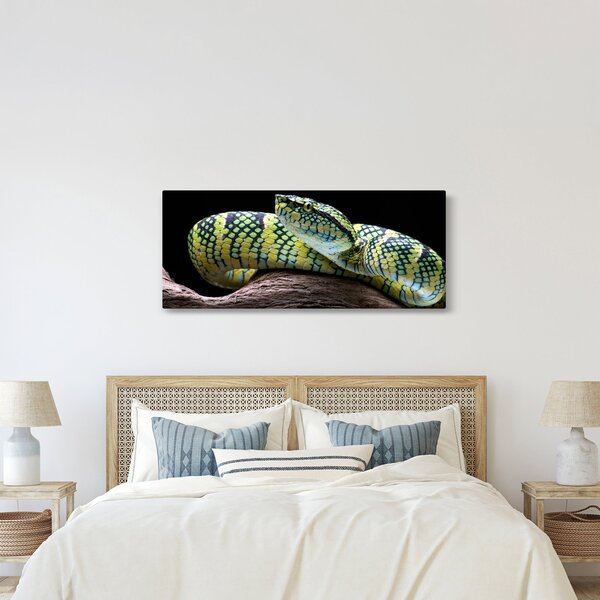 Kép - Wagler csörgőkígyó (120x50 cm)