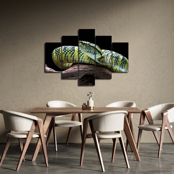 Kép - Wagler csörgőkígyó (150x105 cm)