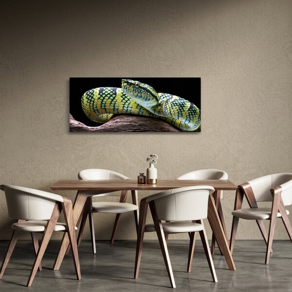 Kép - Wagler csörgőkígyó (120x50 cm)