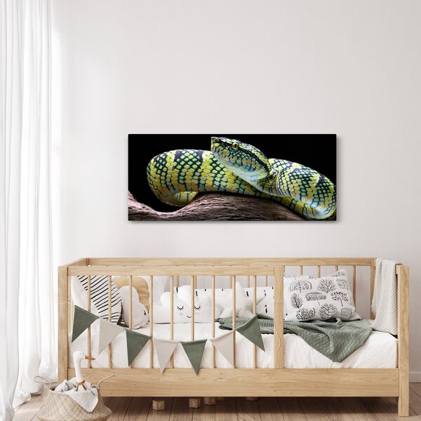 Kép - Wagler csörgőkígyó (120x50 cm)