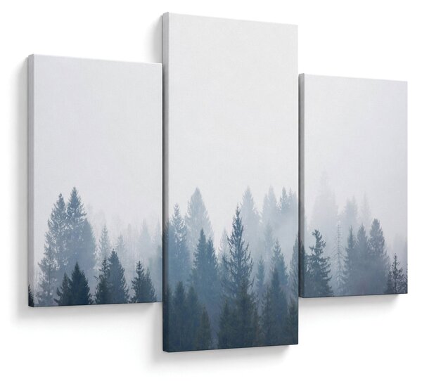 Kép - Ködös erdő (90x60 cm)