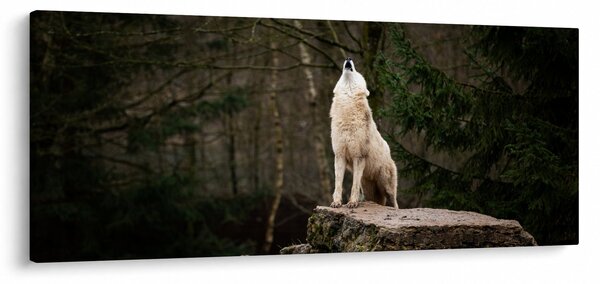 Kép - A farkas üvöltése (120x50 cm)
