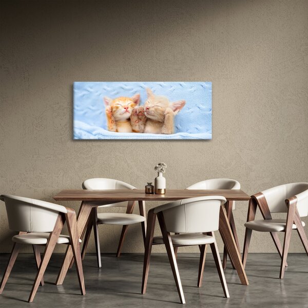 Kép - Alvó cicák (120x50 cm)