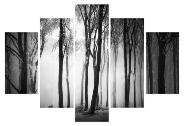 Kép - Farkas a sötét erdőben (150x105 cm)
