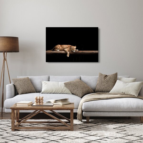 Kép - Lioness (90x60 cm)