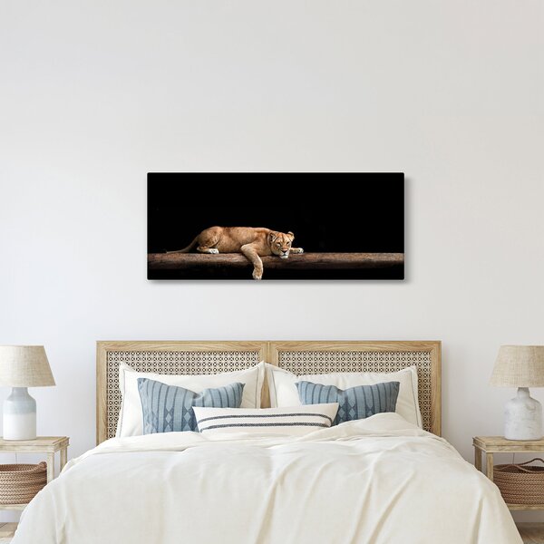 Kép - Lioness (120x50 cm)