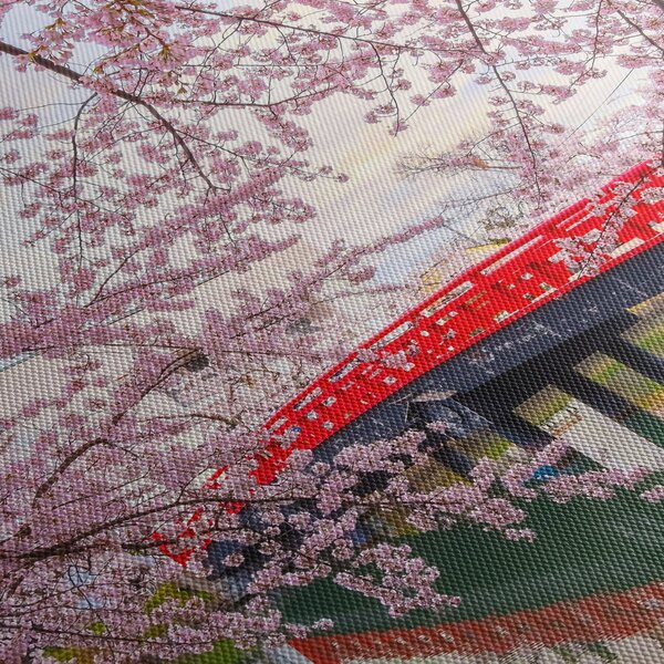 Kép - Hirosaki, Japán (150x105 cm)