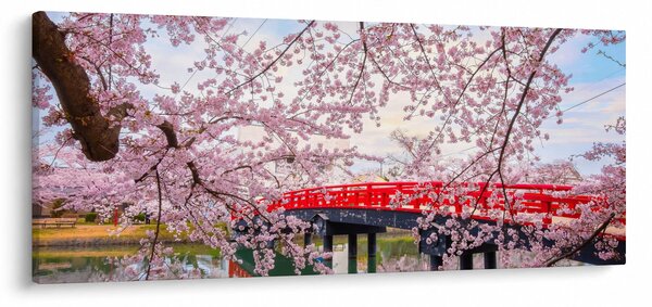 Kép - Hirosaki, Japán (120x50 cm)