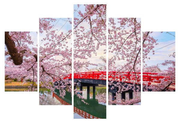 Kép - Hirosaki, Japán (150x105 cm)
