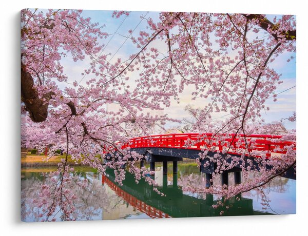 Kép - Hirosaki, Japán (70x50 cm)