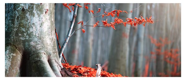 Kép - Ősz (120x50 cm)