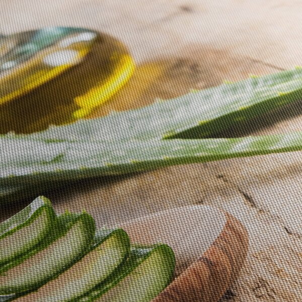 Kép - Aloe vera (90x60 cm)