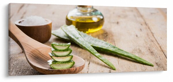 Kép - Aloe vera (120x50 cm)