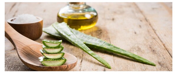Kép - Aloe vera (120x50 cm)