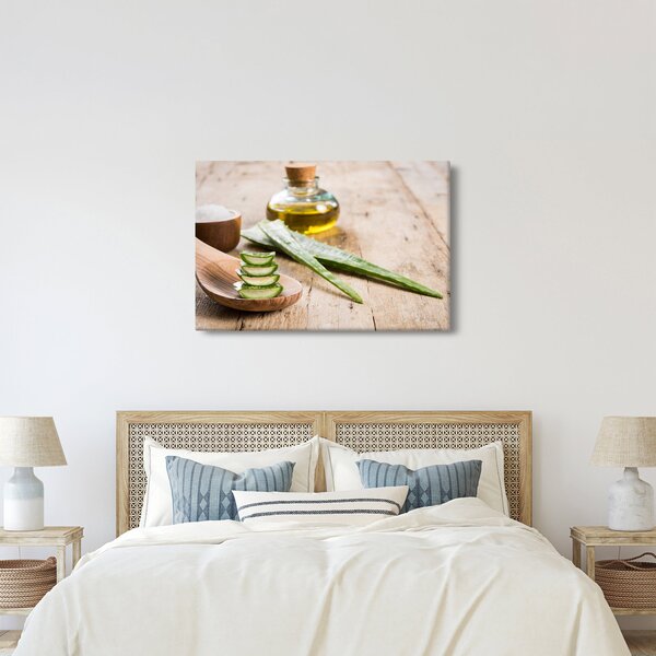 Kép - Aloe vera (90x60 cm)