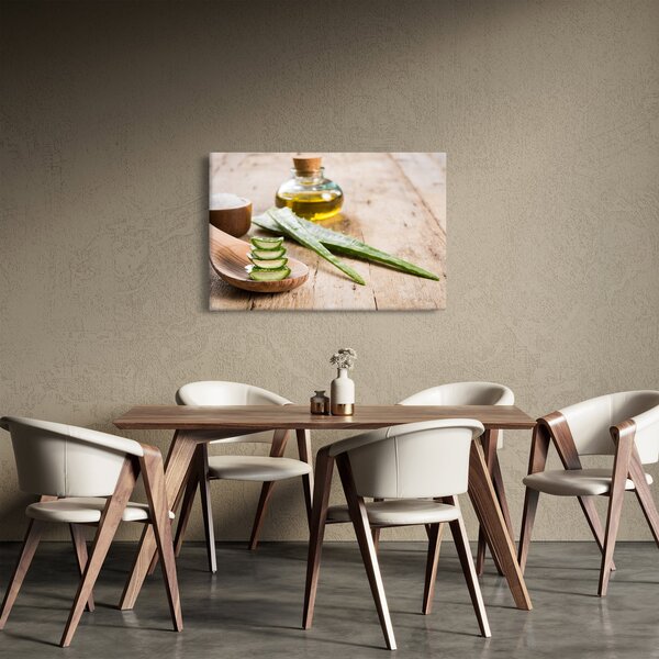 Kép - Aloe vera (90x60 cm)
