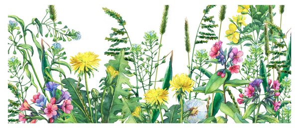 Kép - Festett réti virágok (120x50 cm)