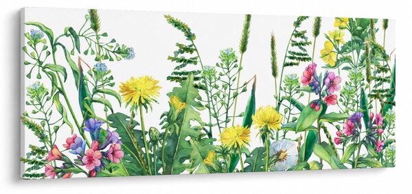 Kép - Festett réti virágok (120x50 cm)