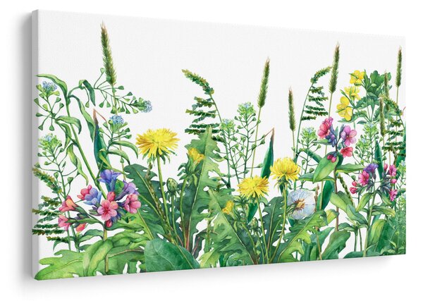 Kép - Festett réti virágok (90x60 cm)