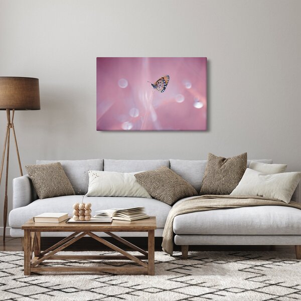 Kép - Pillangó (90x60 cm)