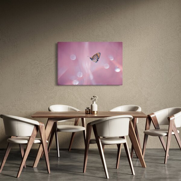 Kép - Pillangó (90x60 cm)