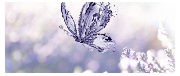 Kép - Pillangó és levendula (120x50 cm)