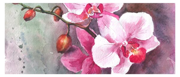 Kép - Orchideák, akvarell (120x50 cm)