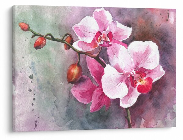 Kép - Orchideák, akvarell (70x50 cm)