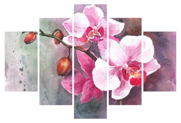 Kép - Orchideák, akvarell (150x105 cm)
