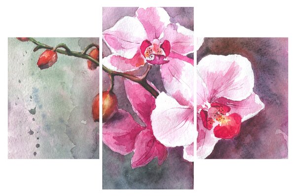 Kép - Orchideák, akvarell (90x60 cm)