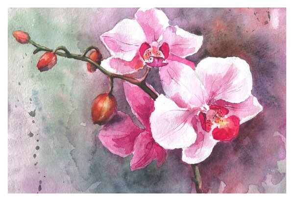 Kép - Orchideák, akvarell (90x60 cm)