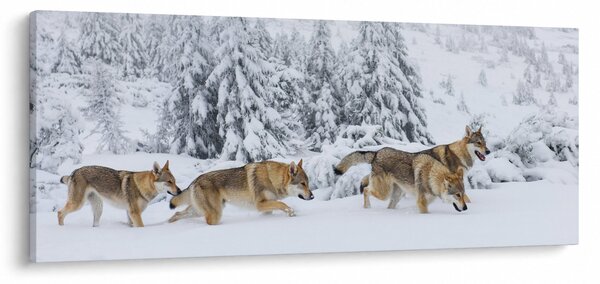 Kép - Farkasok a hegyekben (120x50 cm)
