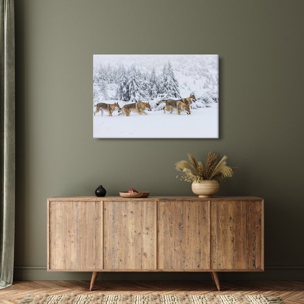 Kép - Farkasok a hegyekben (90x60 cm)