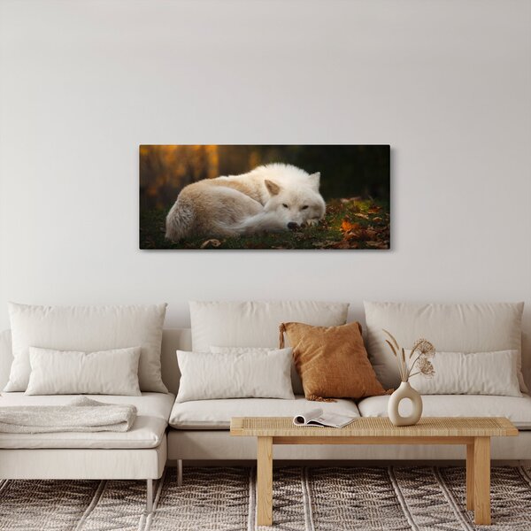 Kép - Pihenő farkas (120x50 cm)