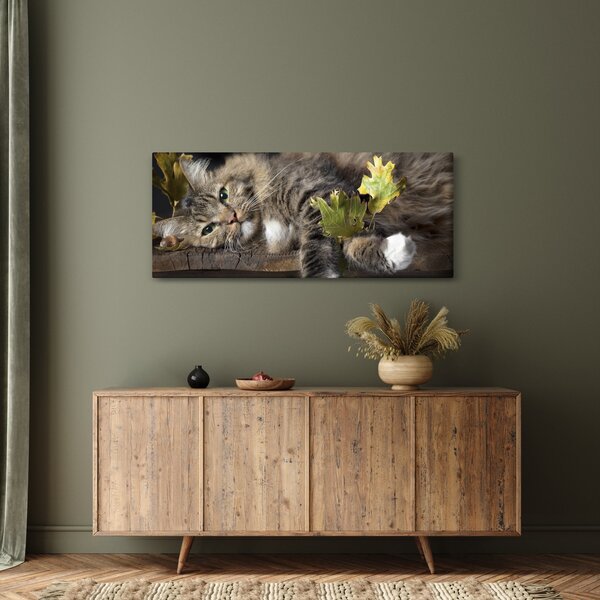 Kép - Hazudós macska (120x50 cm)