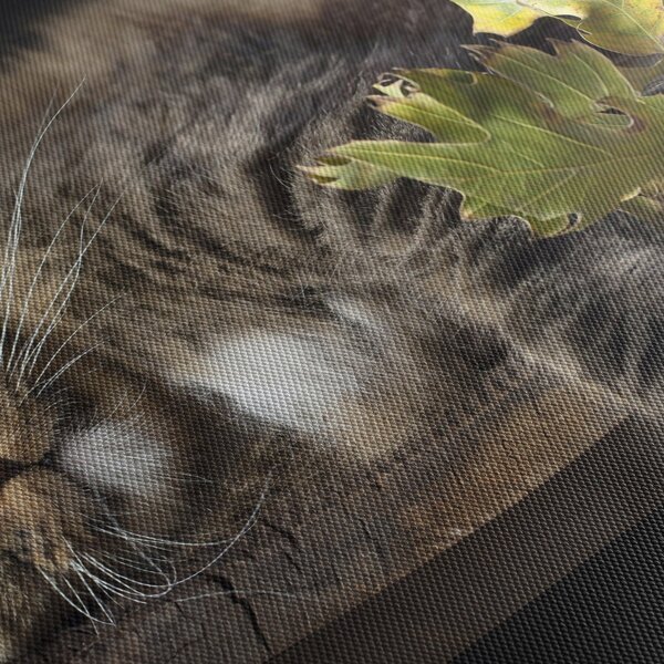 Kép - Hazudós macska (120x50 cm)