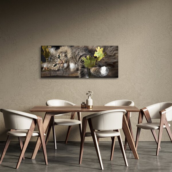 Kép - Hazudós macska (120x50 cm)