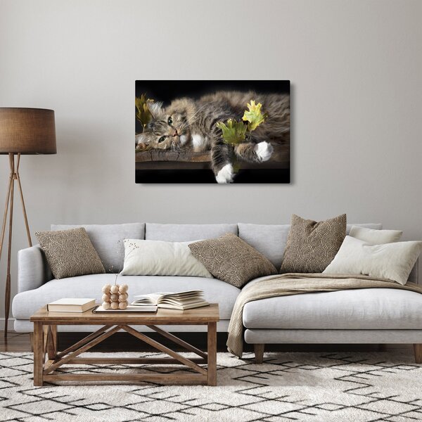 Kép - Hazudós macska (90x60 cm)
