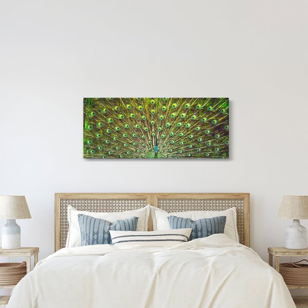 Kép - Páva (120x50 cm)