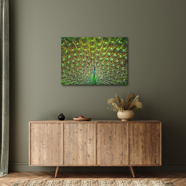 Kép - Páva (70x50 cm)