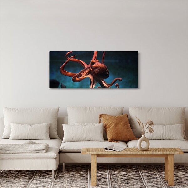 Kép - Octopus (120x50 cm)