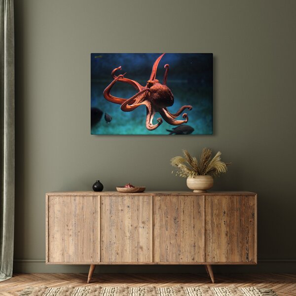 Kép - Octopus (90x60 cm)