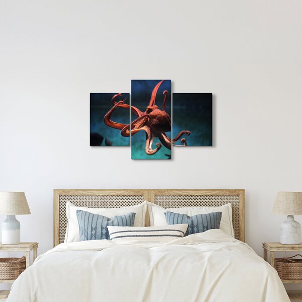 Kép - Octopus (90x60 cm)