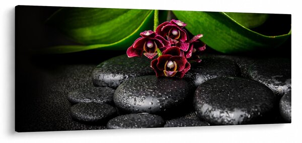 Kép - Lávakövek (120x50 cm)