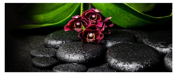 Kép - Lávakövek (120x50 cm)