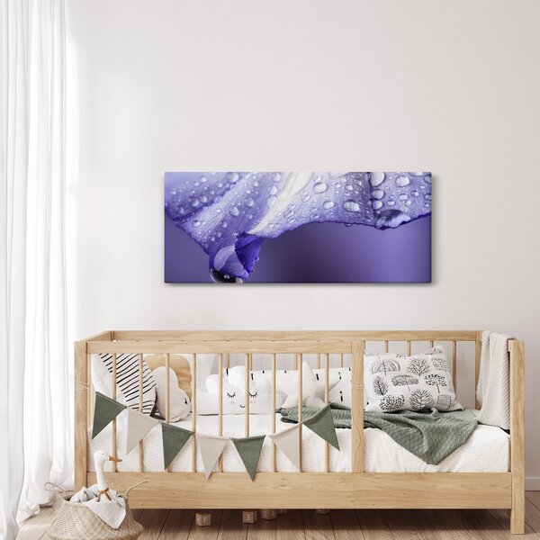 Kép - Szirom cseppekkel (120x50 cm)