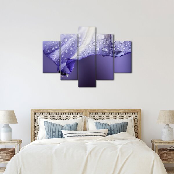 Kép - Szirom cseppekkel (150x105 cm)