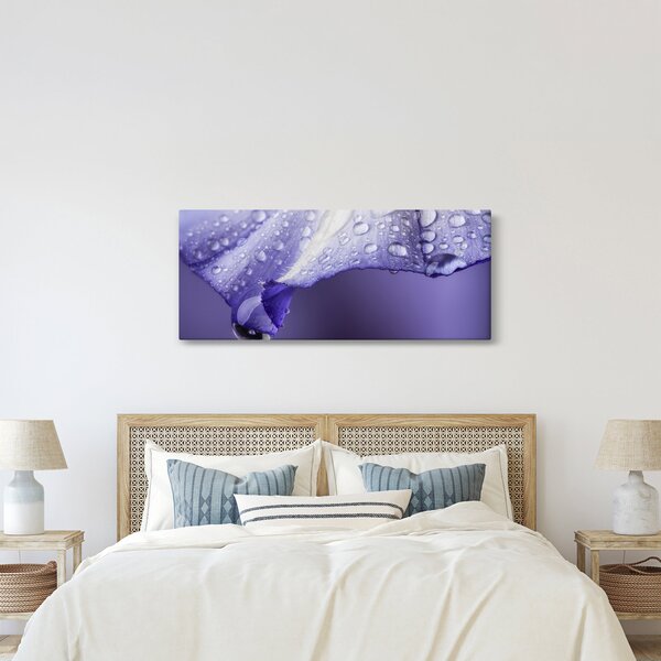 Kép - Szirom cseppekkel (120x50 cm)