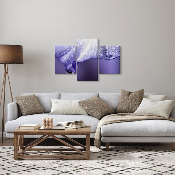 Kép - Szirom cseppekkel (90x60 cm)